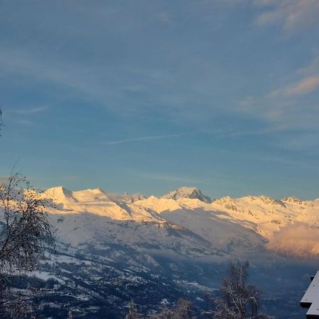 Appartement Aux Coches 6 Personnes 1 Chambre 23M2 8 Couchages La Plagne Exterior foto